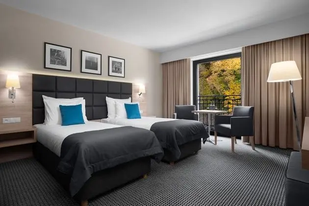 Comfort Tek Büyük Yataklı Oda (free spa access)