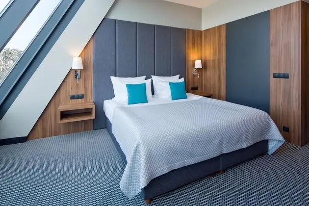 Comfort Tek Büyük Yataklı Oda, Göl Manzaralı (Lux; free spa access)