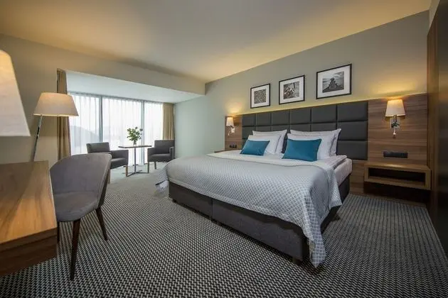 Comfort Tek Büyük Yataklı Oda, Göl Manzaralı (Plus; free spa access)