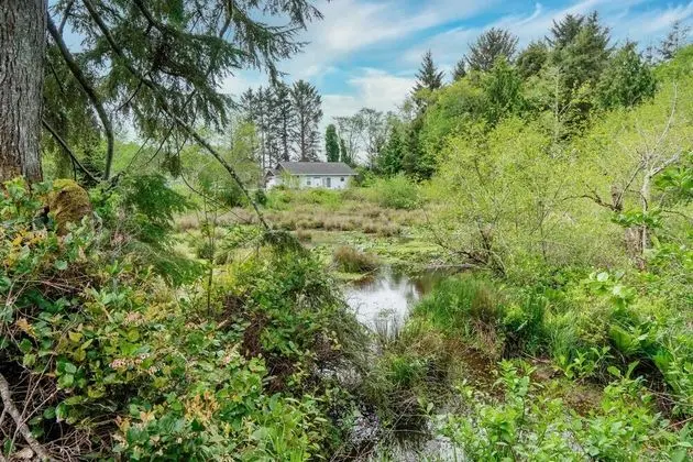 Ev, Birden Çok Yatak (Heron's Nest)
