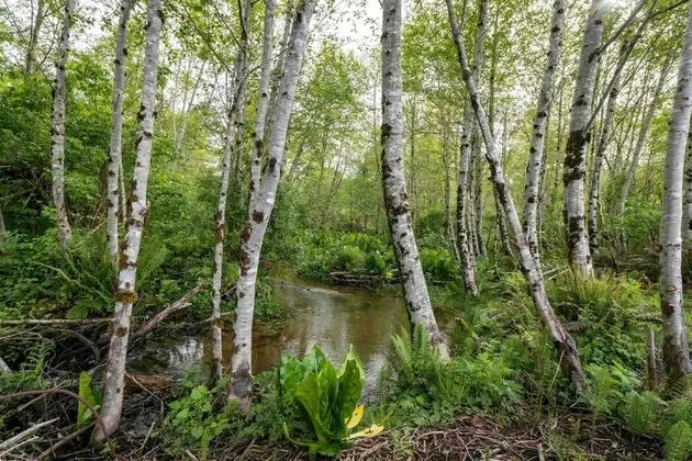 Ev, Birden Çok Yatak (Heron's Nest)