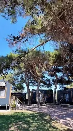 Bungalow, Bahçe Manzaralı, Alçak Tavan