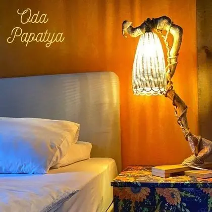 Standart Oda, Doğa Manzaralı, 1. Kat