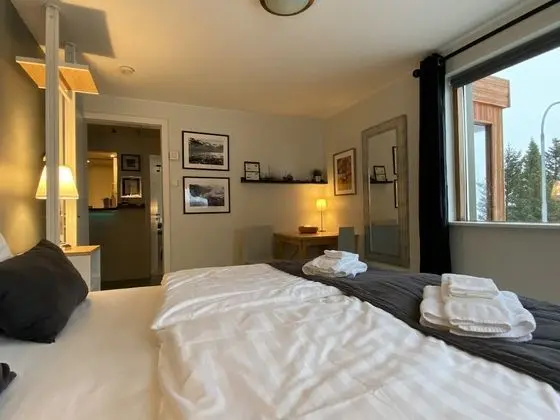 Tek Büyük Yataklı Oda, 1 En Büyük (King) Boy Yatak, Küçük Mutfak, Dağ Manzaralı