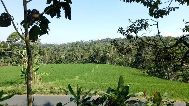 Standard Oda, Özel Banyo