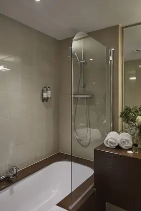 Superior Tek Büyük Yataklı Oda