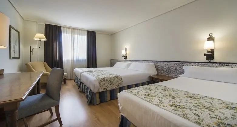 Tek Büyük Yataklı Oda (+ Extra bed)