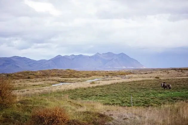 Tek Büyük veya İki Ayrı Yataklı Oda, Özel Banyo, Dağ Manzaralı