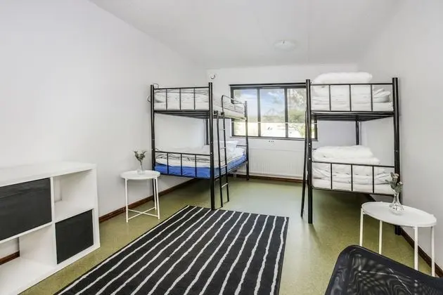 Dört Kişilik Oda, Ortak Banyo (Pet-friendly)