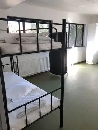 Dört Kişilik Oda, Ortak Banyo (Pet-friendly)