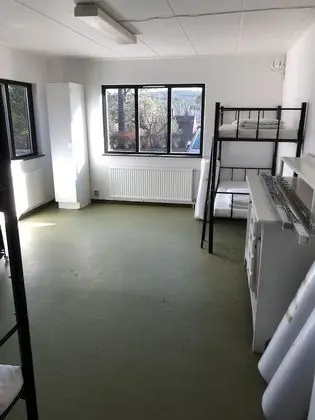 Dört Kişilik Oda, Ortak Banyo (Pet-friendly)