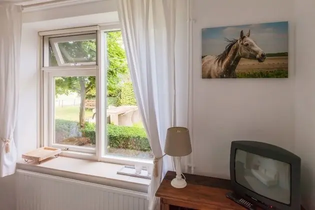 Superior Tek Büyük Yataklı Oda, Bahçe Manzaralı