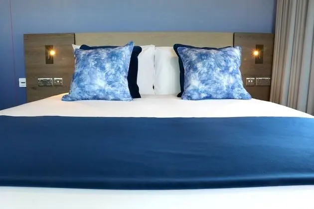 Standard Tek Büyük Yataklı Oda, 1 En Büyük (King) Boy Yatak, Engellilere Uygun