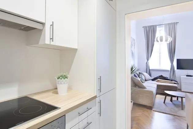Apart Daire, 1 Yatak Odası (16, incl. cleaning fee 45 EUR)