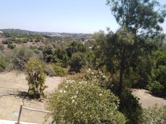 Ortak Ranzalı Oda, Sadece erkekler için (4 pax)