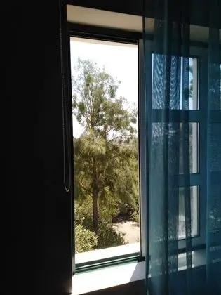 Ortak Ranzalı Oda, Sadece kadınlar için (4 pax)