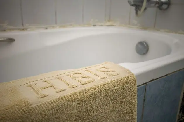 Süit