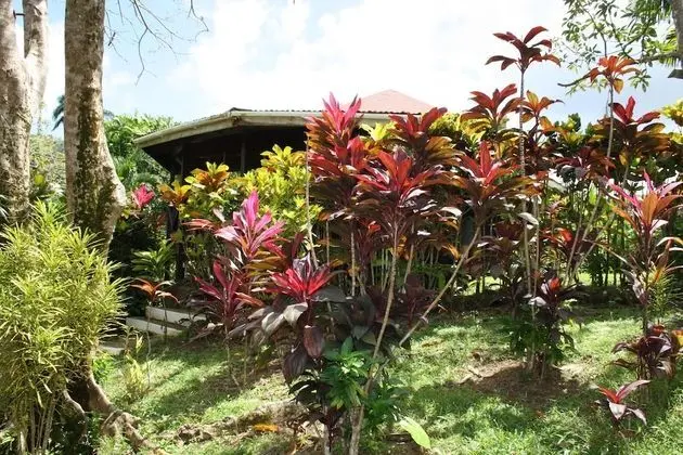 Nature Bungalow Room with fan