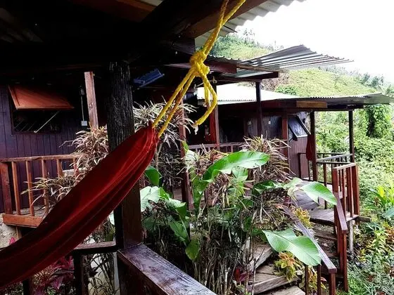 Nature Bungalow Room with fan