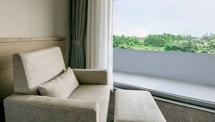 Deluxe Tek Büyük Yataklı Oda (Panorama View)
