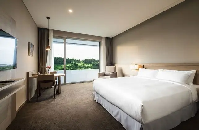 Deluxe Tek Büyük Yataklı Oda (Panorama View)