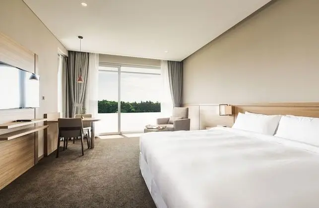 Deluxe Tek Büyük Yataklı Oda (Panorama View)