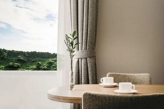 Deluxe Tek Büyük Yataklı Oda (Panorama View)