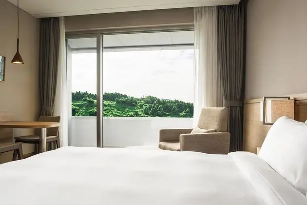 Deluxe Tek Büyük Yataklı Oda (Panorama View)