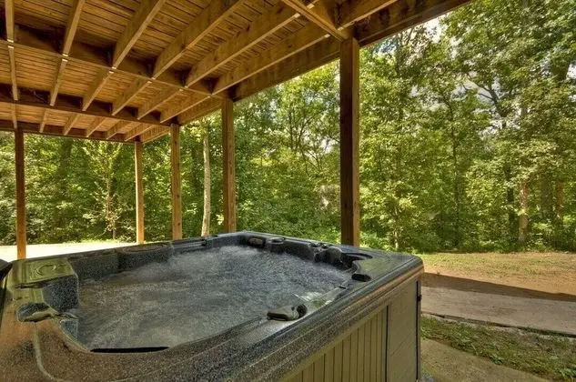 Kulübe (Hidden Creek- Near Ocoee River)