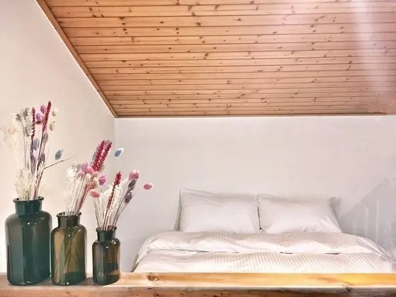 Panoramic Çatı Katı (Loft), Birden Çok Yatak, Sigara İçilmez