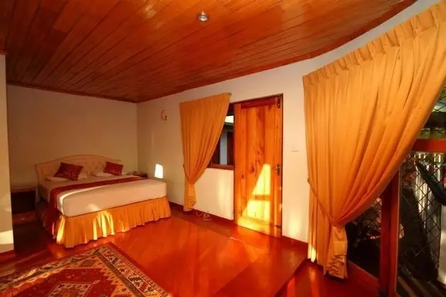 Deluxe Tek Büyük Yataklı Oda, 1 Yatak Odası, Balkon