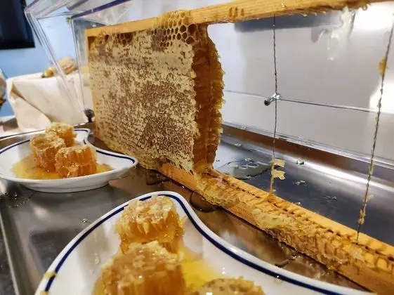 Mansarda con letto matrimoniale o 2 letti singoli, 1 camera da letto