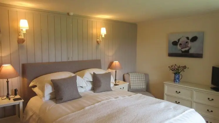 Tek Büyük Yataklı Oda (Room Two)