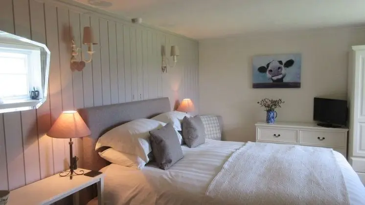 Tek Büyük Yataklı Oda (Room Two)