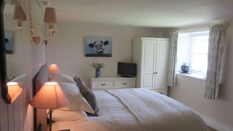 Tek Büyük Yataklı Oda (Room Two)