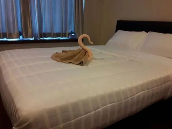 1 Bedroom Condo