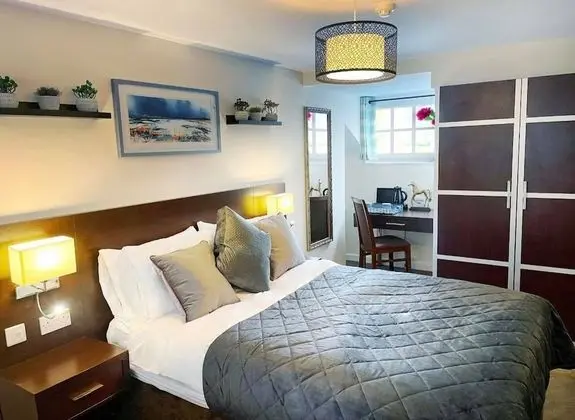 Deluxe Tek Büyük Yataklı Oda, Banyolu/Duşlu (Deluxe Room)