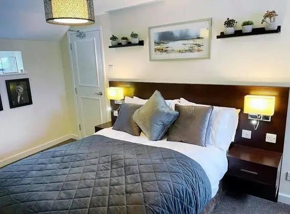 Deluxe Tek Büyük Yataklı Oda, Banyolu/Duşlu (Deluxe Room)