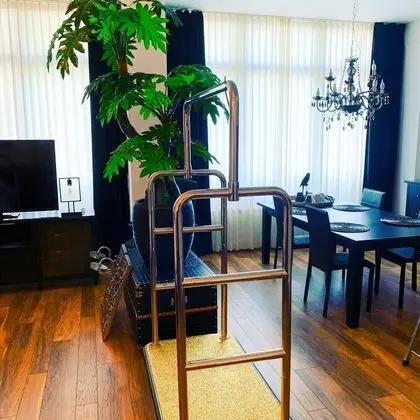 Deluxe Stüdyo Süit