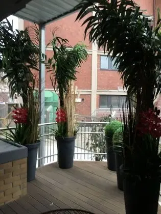 Deluxe Stüdyo Süit