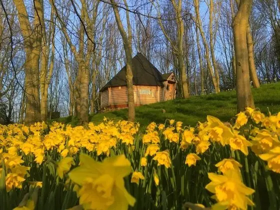 Romantic Kulübe (Deer Lodge)
