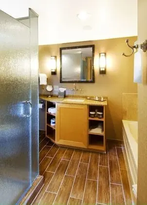 Deluxe Oda, 1 En Büyük (King) Boy Yatak ve Çekyat (Waterfront Collection One Bedroom Sui)