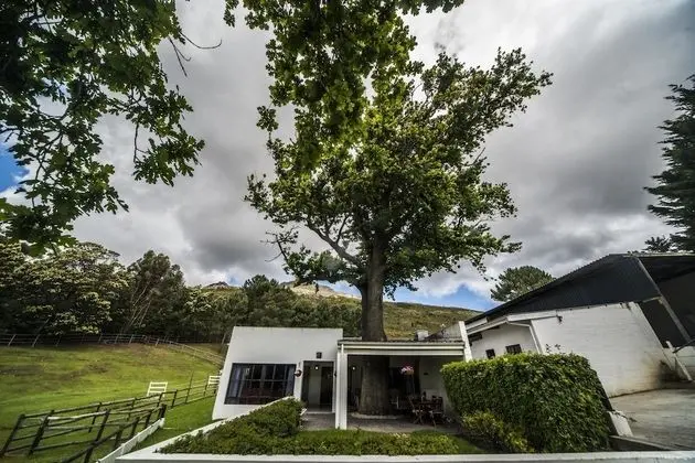 Family Kır Evi, 3 Yatak Odası, Dağ Manzaralı