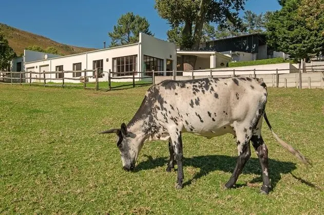 Family Kır Evi, 3 Yatak Odası, Vadi Manzaralı, Dağ Yamacı