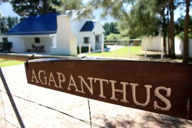 Premium Kır Evi, 1 Yatak Odası, Vadi Manzaralı, Dağ Yamacı