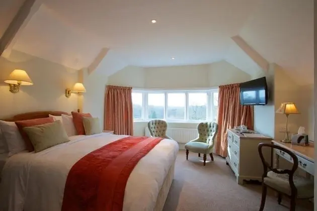 Deluxe Tek Büyük Yataklı Oda, 1 Yatak Odası