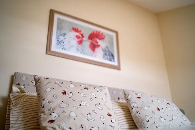 Tek Büyük Yataklı Oda, Özel Banyo (The Roost)