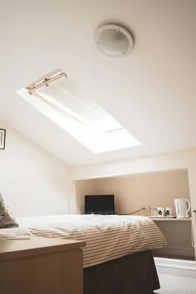 Tek Büyük Yataklı Oda, Özel Banyo (The Roost)