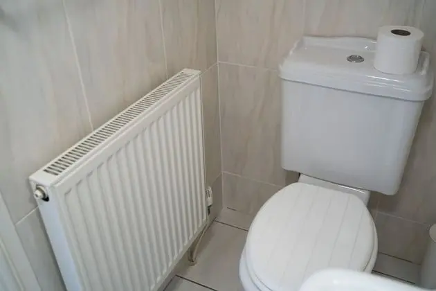 Tek Büyük Yataklı Oda, Özel Banyo (The Roost)