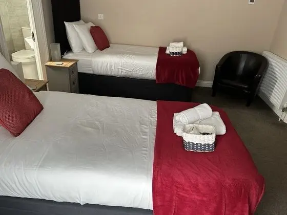 Deluxe Tek Büyük veya İki Ayrı Yataklı Oda, Banyolu/Duşlu